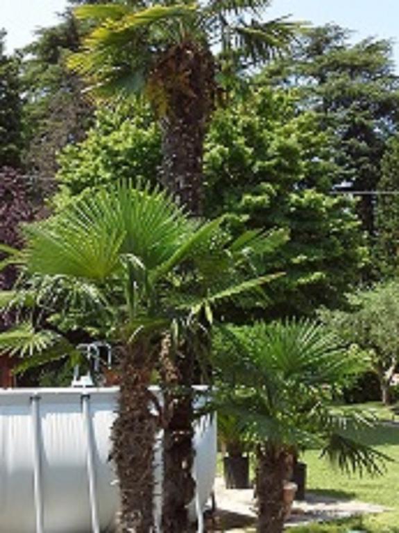 Relais Villa Lézard Lazise Habitación foto